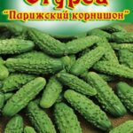 Огурец "Парижский корнишон" 10шт ТГ