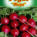 Редис "Жара" 1,5г ТГ