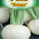 Репа "Гейша" 1г ТГ