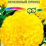 Цветы одн. Бархатцы "Лимонный Принц" 0,1г Гавриш