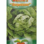 Салат "Аттракцион" 0,5г ТГ