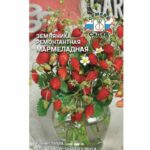 Земляника "Мармеладная" Седек ремонтантная