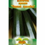 Кабачок "Черный красавец" 10шт ТГ