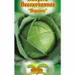 Капуста "Подарок" 0.5 г. белокочанная ТГ