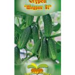 Огурец "Щедрик F1" 5шт ТГ
