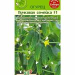 Огурец "Пучковая Семейка F1" 6шт СА