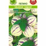 Пепино "Дынная Груша" 5шт СА