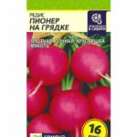 Редис "Пионер на Грядке" СА