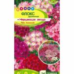Цветы одн. Флокс "Мерцающая Звезда" 0,2г СА