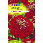 Цветы одн. Цинния "Черри Квин" 0,3г СА