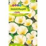 Цветы одн. Эшшольция "Альба" СА