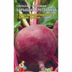 Свекла "Барышня Крестьянка" СА
