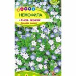 Цветы одн. Немофила "Смесь окрасок" 0,1г СА 