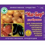 У "Маг Бор" 100 г