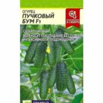 Огурец "Пучковый Бум F1" 5шт СА