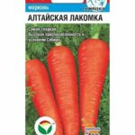 Морковь "Алтайская лакомка" 2г СС