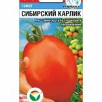 Томат "Сибирский карлик" 20шт СС