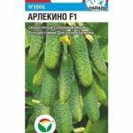 Огурец "Арлекино" 5шт СС