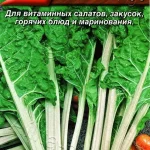 Свекла листовая Мангольд "Изумруд" 1г Аэлита