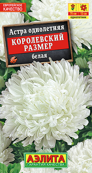 Астра "Королевский размер" смесь 0,1г Астра "Королевский размер" смесь 0,1г