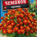 Бархатцы "Чемпион красные" 0,2г