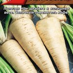 Цикорий "Петровский" корневой 0,5г