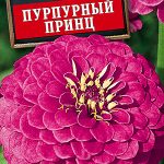 Цинния "Пурпурный принц" 0,3г