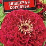 Цинния "Вишнёвая королева"0,3 г