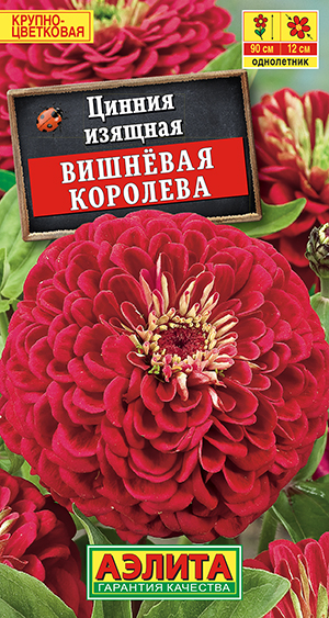 Цинния "Вишнёвая королева"0,3 г