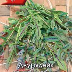Двурядник тонколистный "Язык Дракона" 0,03г