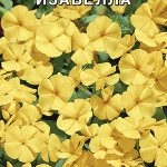 Флокс "Изабелла" 0,1г