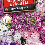 Флокс "Мгновение красоты" Смесь 0,1г