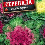 Капуста декоративная "Серенада" листовая смесь 0,1г