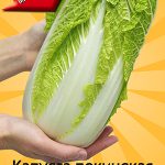 Капуста пекинская "Виктория F1" 0,2г
