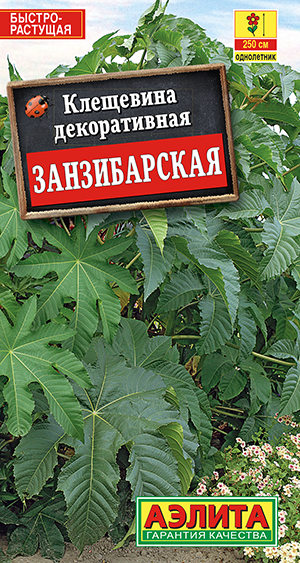 Клещевина "Занзибарская" 2г