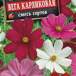 Космея "Вега карликовая" 0,3г