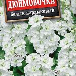 Левкой "Дюймовочка" смесь 0,1г