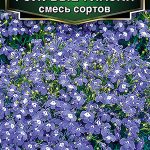 Лобелия "Регатта смесь" ампельная 3 шт