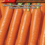 Морковь на ленте "Несравненная" 8м