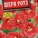 Настурция "Шери Роуз" 1г