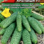 Огурец "Душистые Крепыши F1