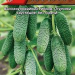 Огурец "Хруст F1" 10шт