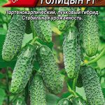 Огурец "Князь Голицын F1" 10шт