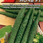 Огурец "Темная Ночь F1