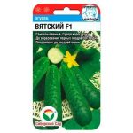 Огурец "Вятский F1" 5шт СС