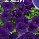 Петуния "Пурпурный водопад F2" 10шт