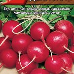 Редис "Дениска" 3г