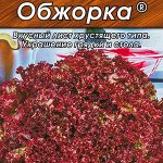 Салат "Обжорка" листовой 1г