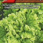 Салат "Сорванец" листовой 0,5г