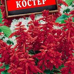 Сальвия "Костёр" 0,1 г